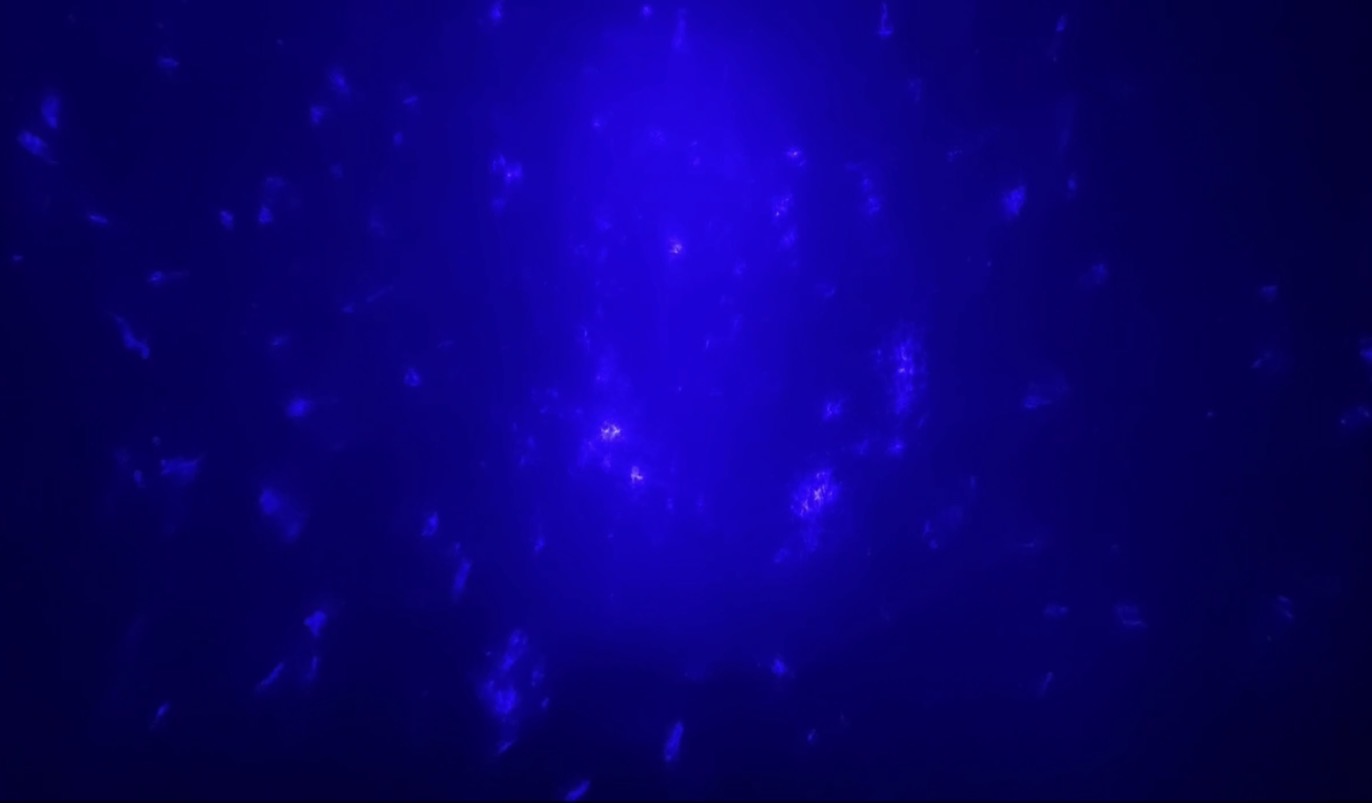 NOERIS tiefes blaues Lichtfeld