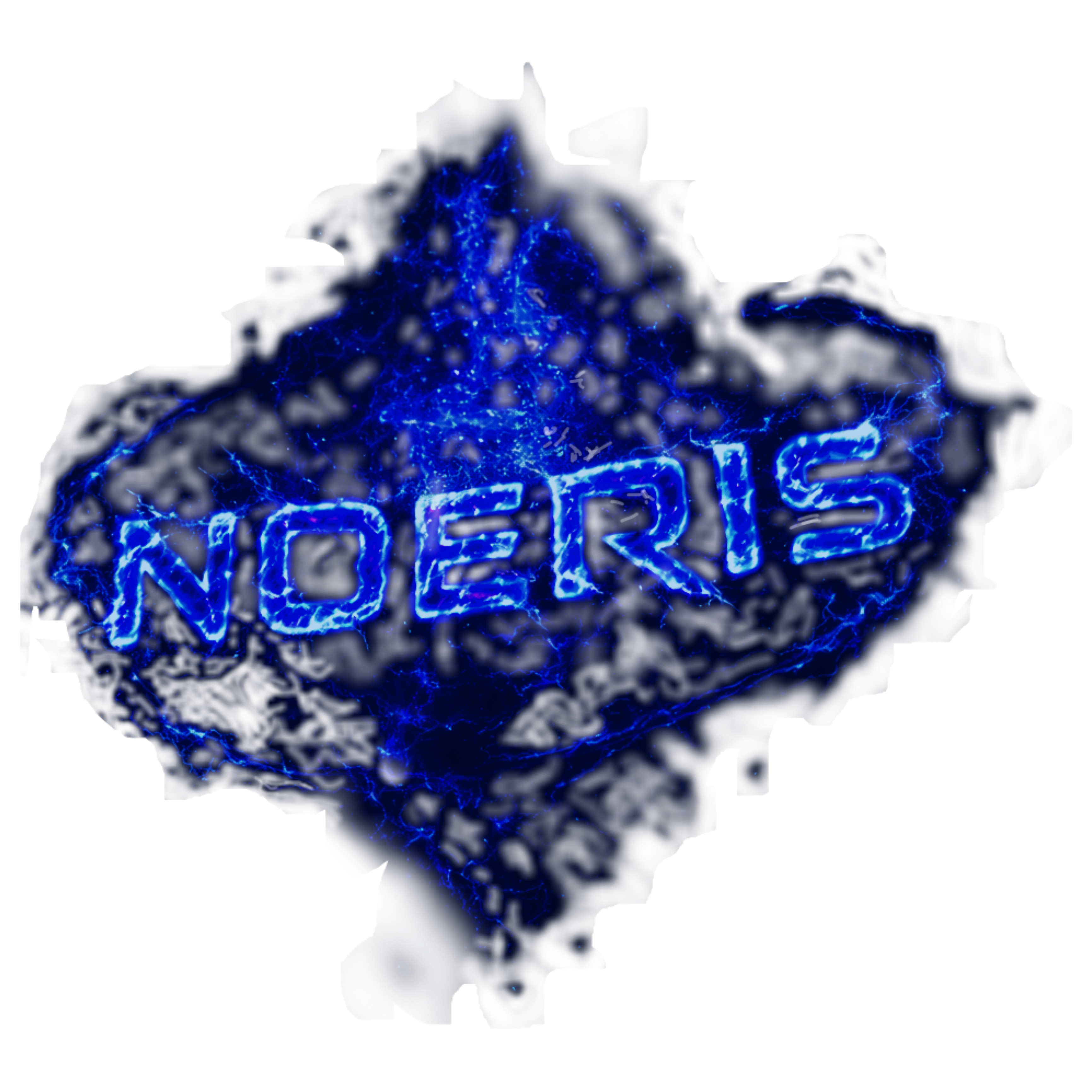 NOERIS logo